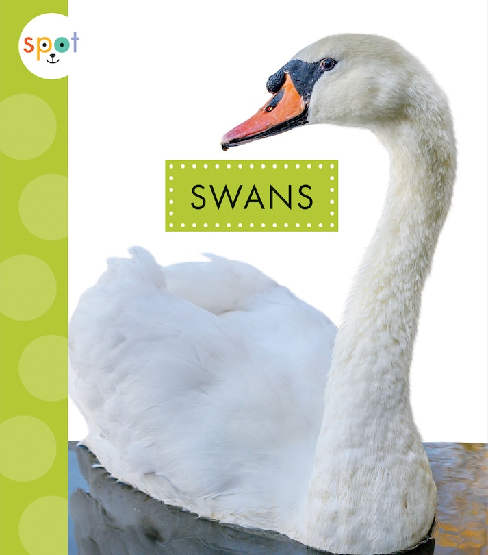 Front cover_Swans