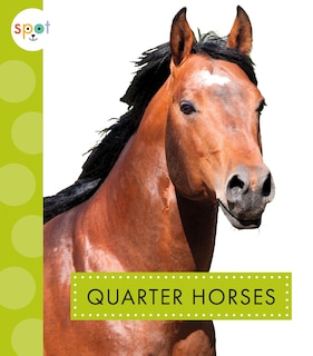 Couverture_Quarter Horses
