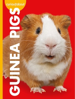 Front cover_Curious about Guinea Pigs