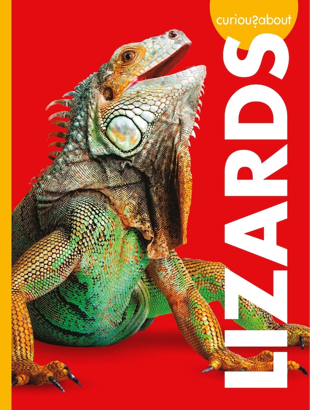 Front cover_Curious about Lizards