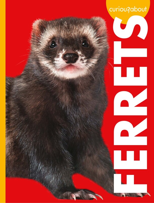 Couverture_Curious about Ferrets