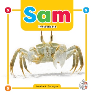 Couverture_Sam: The Sound of s