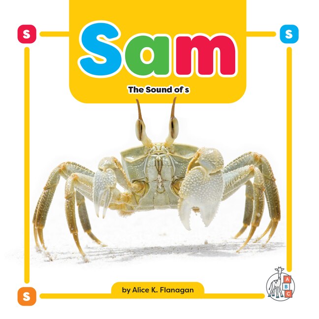 Couverture_Sam: The Sound of s