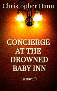 Front cover_Concierge at the Drowned Baby Inn