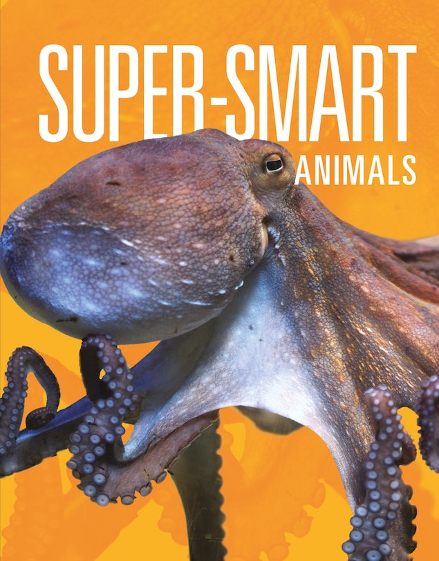 Couverture_Super-Smart Animals