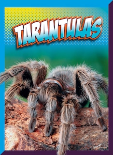 Front cover_Tarantulas