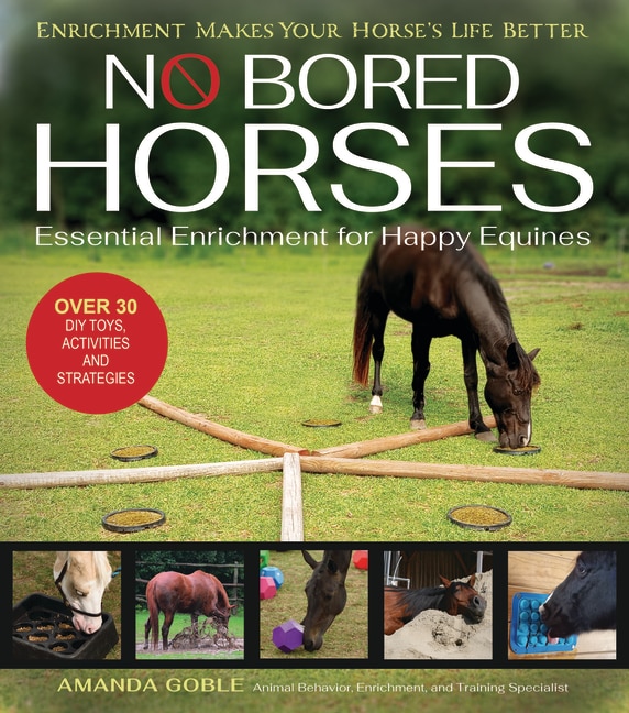 Front cover_No Bored Horses