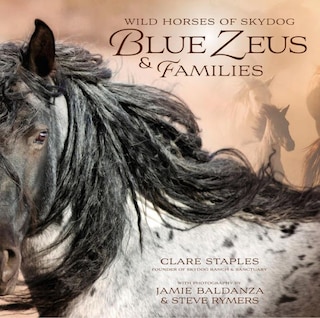 Front cover_Wild Horses of Skydog