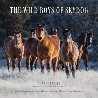Front cover_The Wild Boys of Skydog