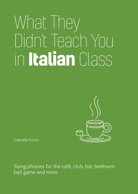 Front cover_What They Didn't Teach You In Italian Class
