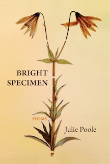 Front cover_Bright Specimen