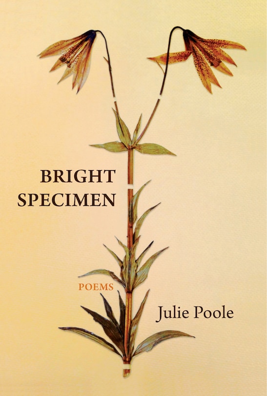 Front cover_Bright Specimen