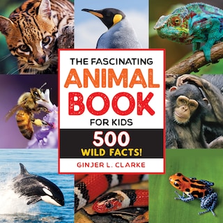 Front cover_The Fascinating Animal Book For Kids