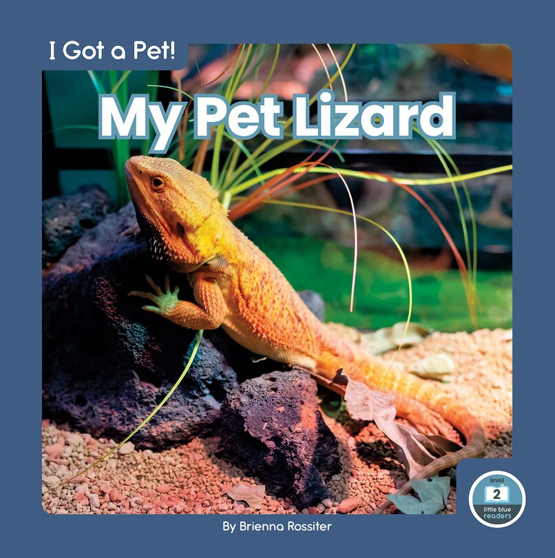 Front cover_My Pet Lizard