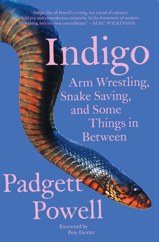 Couverture_Indigo