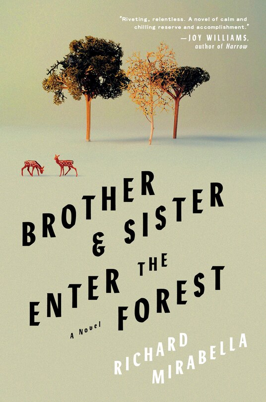Front cover_Brother & Sister Enter the Forest