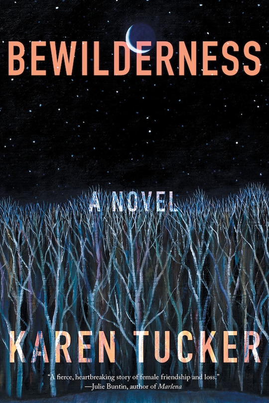 Front cover_Bewilderness
