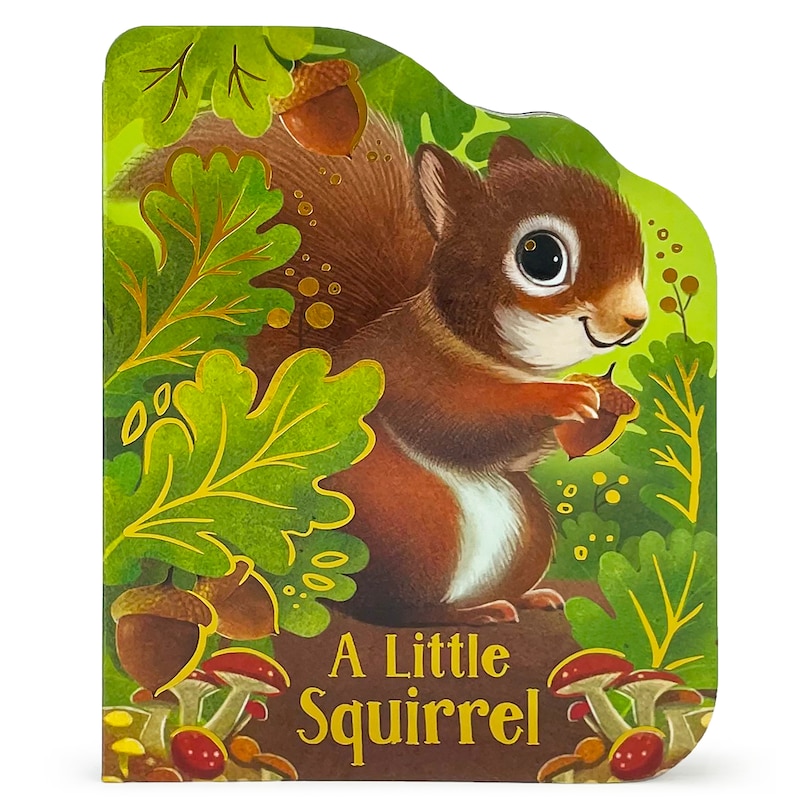 Couverture_A Little Squirrel