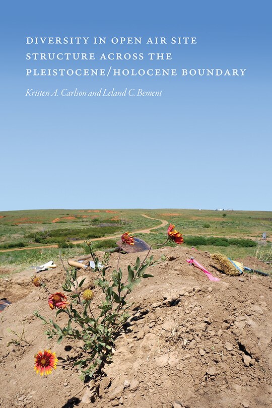 Front cover_Diversity in Open-Air Site Structure across the Pleistocene/Holocene Boundary