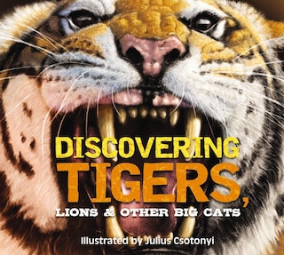 Front cover_Discovering Tigers, Lions and   Other Cats