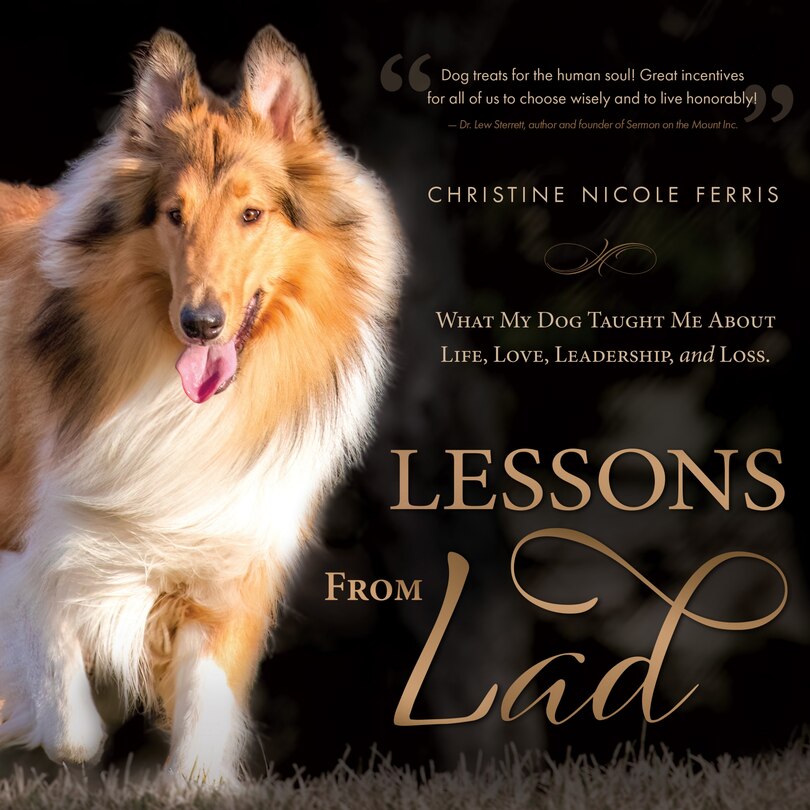Front cover_Lessons from Lad