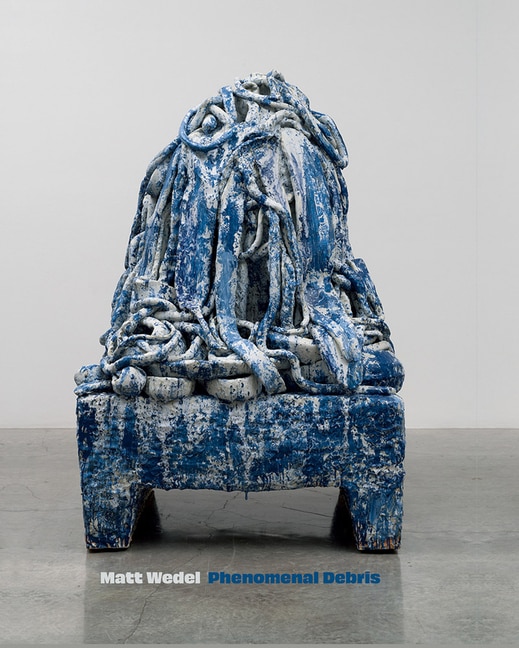Couverture_Matt Wedel: Phenomenal Debris