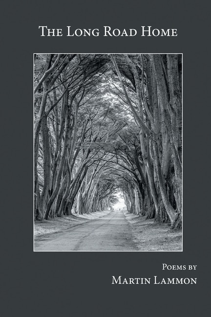 Couverture_The Long Road Home