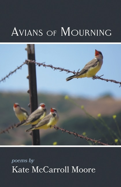 Front cover_Avians of Mourning