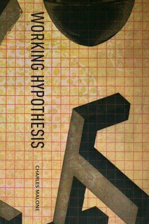 Front cover_Working Hypothesis