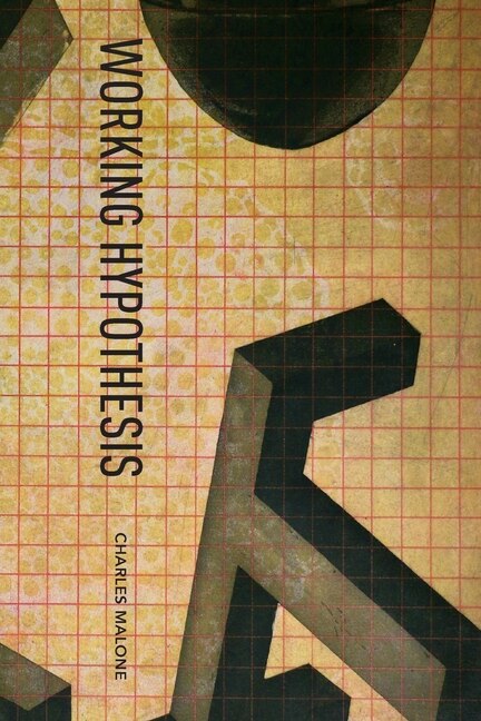 Front cover_Working Hypothesis