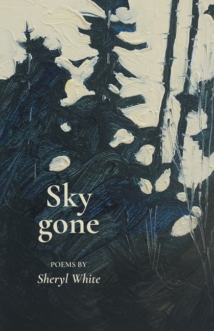 Couverture_Sky gone