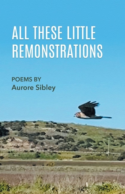Front cover_All These Little Remonstrations
