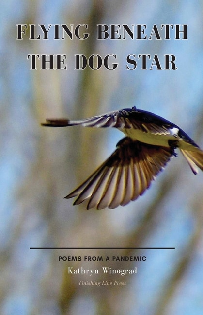 Couverture_Flying Beneath the Dog Star