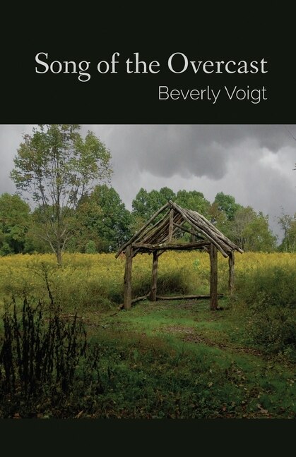 Couverture_Song of the Overcast