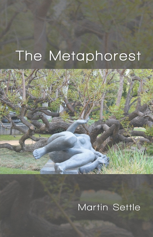 Couverture_The Metaphorest