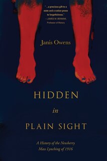 Front cover_Hidden in Plain Sight