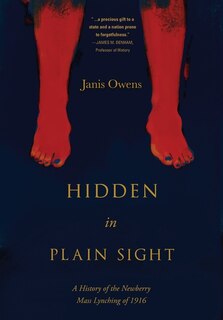 Couverture_Hidden in Plain Sight