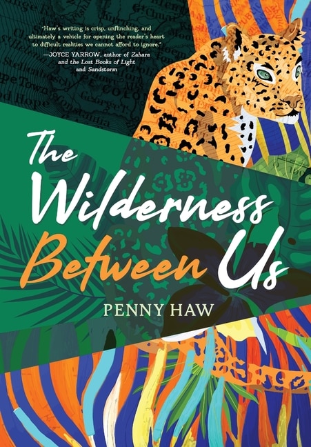 Front cover_The Wilderness Between Us