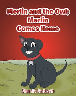 Front cover_Merlin and the Owl