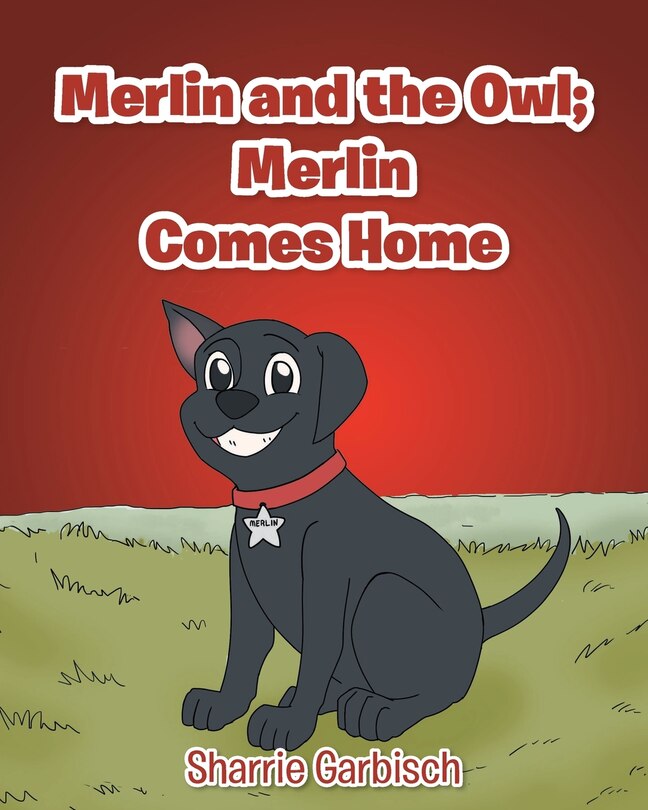 Front cover_Merlin and the Owl