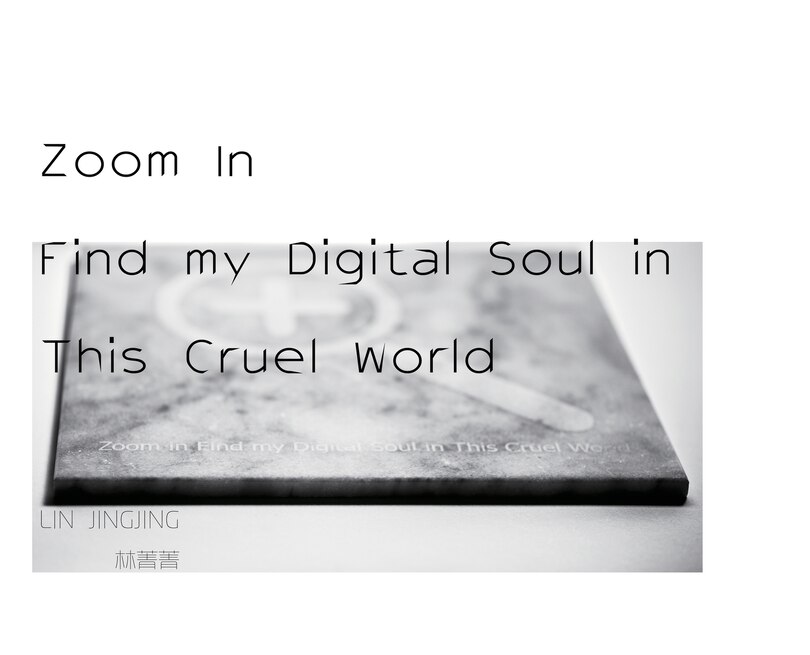 Front cover_Zoom In Find my Digital Soul in This Cruel World
