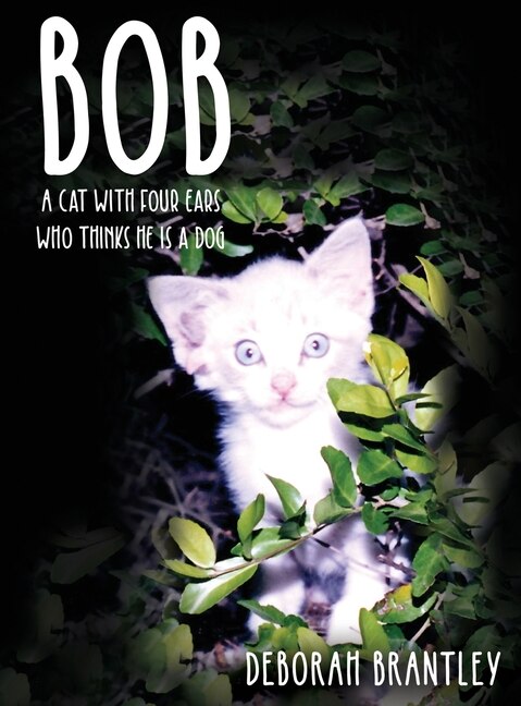 Couverture_Bob