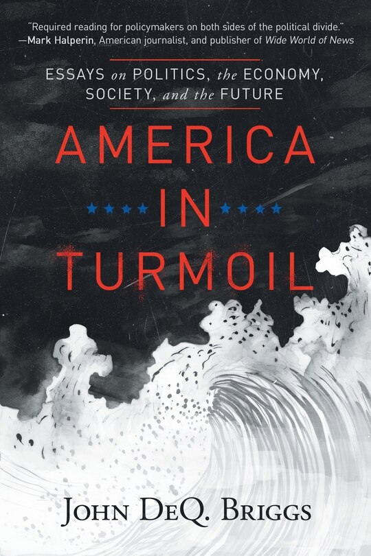Couverture_America in Turmoil