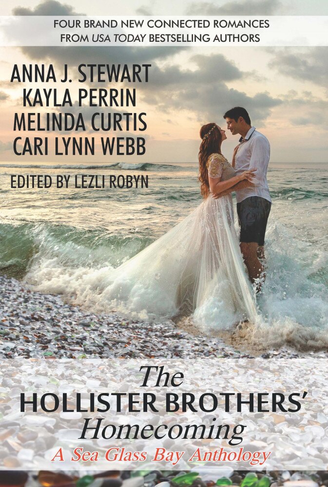 The Hollister Brothers Homecoming Book By Anna J Stewart kayla Perrin melinda Curtis tp Indigo