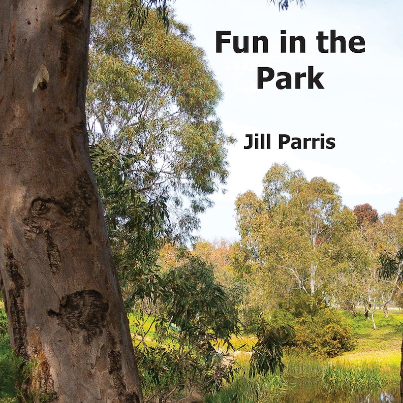 Couverture_Fun In The Park