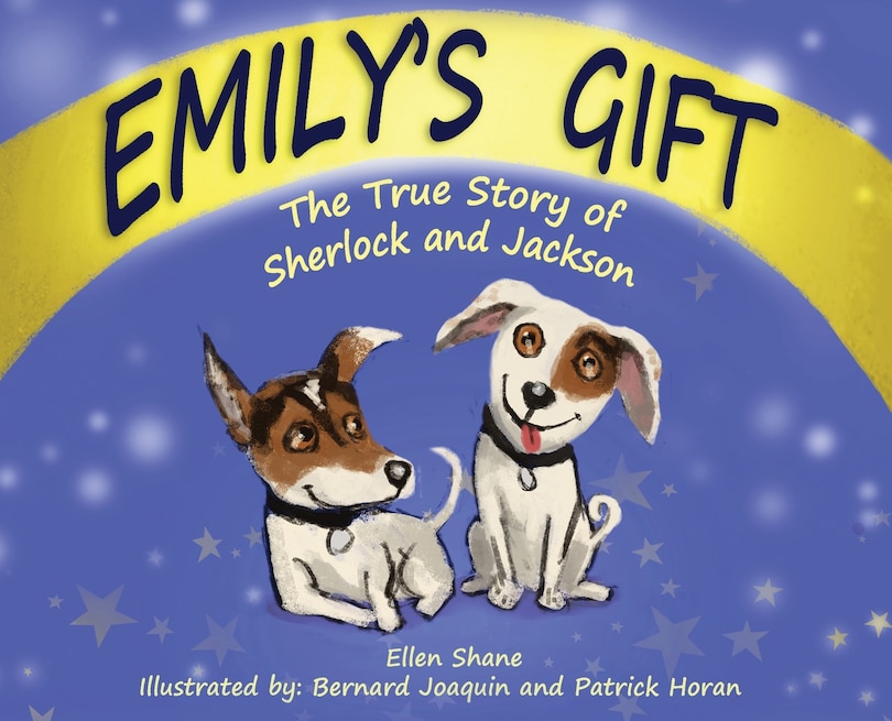 Couverture_Emily's Gift