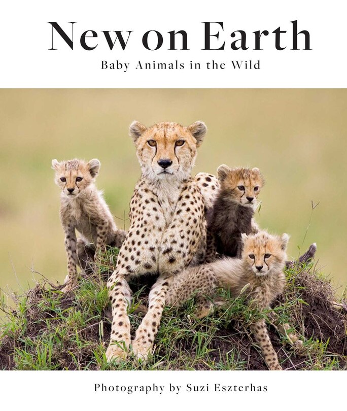 Couverture_New On Earth