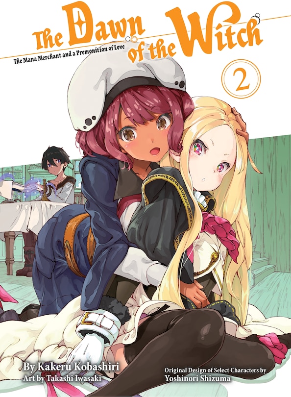 Couverture_The Dawn Of The Witch 2 (light Novel)
