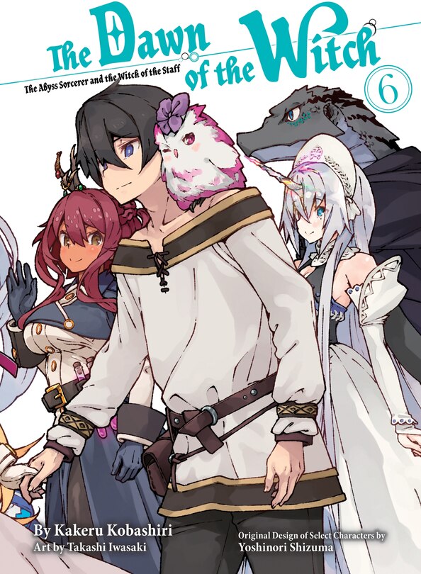 Front cover_The Dawn of the Witch 6 (light novel)