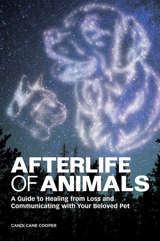 Front cover_Afterlife Of Animals